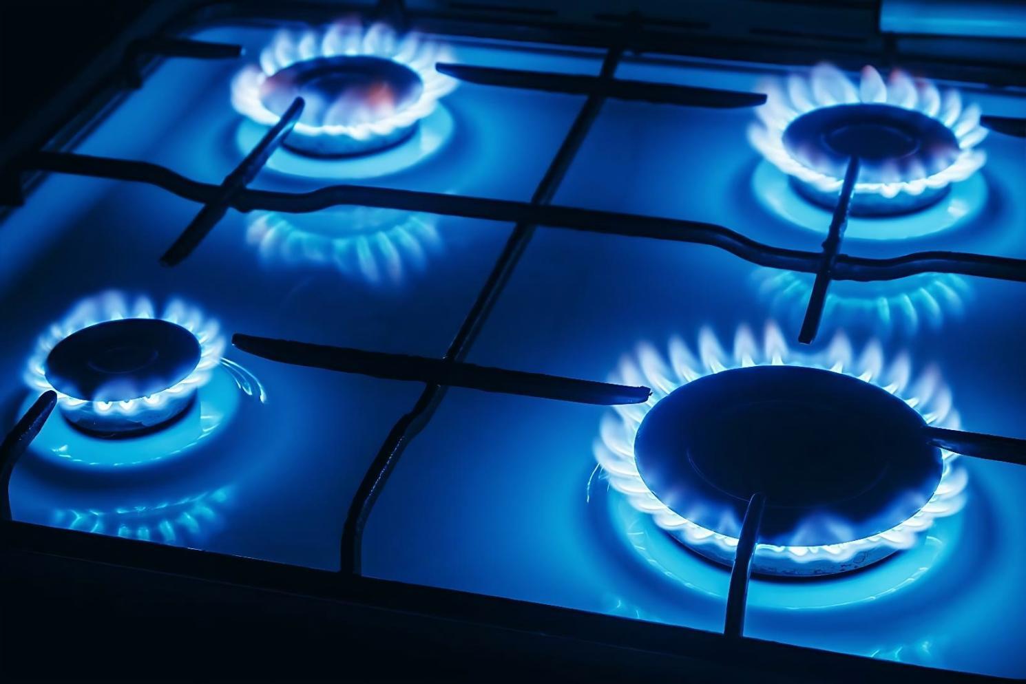 Berufliche Praxis in der Gasindustrie